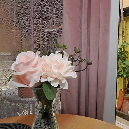 Holidays House - La Апартаменты Копер